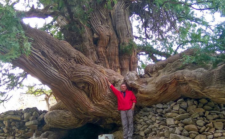 Туры в Узбекистан 2026 — путешествие по Великому Шёлковому пути